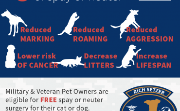 6 benefits of spay or neuter