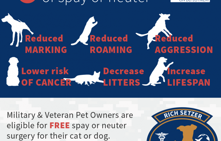 6 benefits of spay or neuter